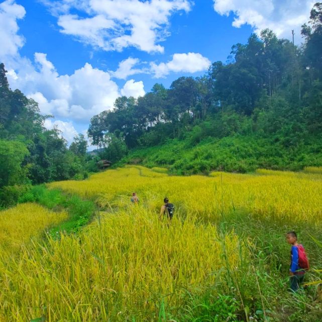 Chiang Mai: Elephant Sanctuary & Jungle Trek w/ Waterfall - Bamboo rafting on the Mae Wang River: calm water, real jungle feel