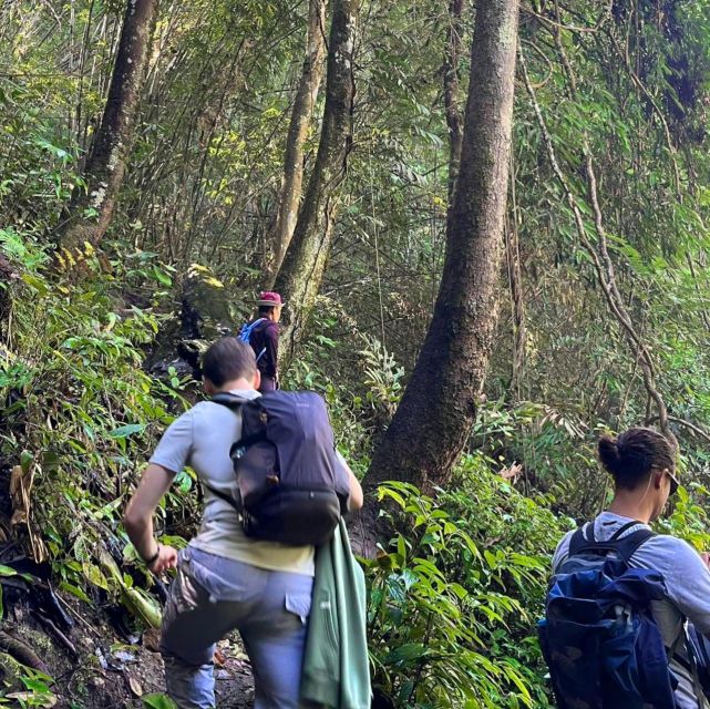 Chiang Mai: Elephant Sanctuary & Jungle Trek w/ Waterfall - Wildlife viewing and the last drive back to Chiang Mai