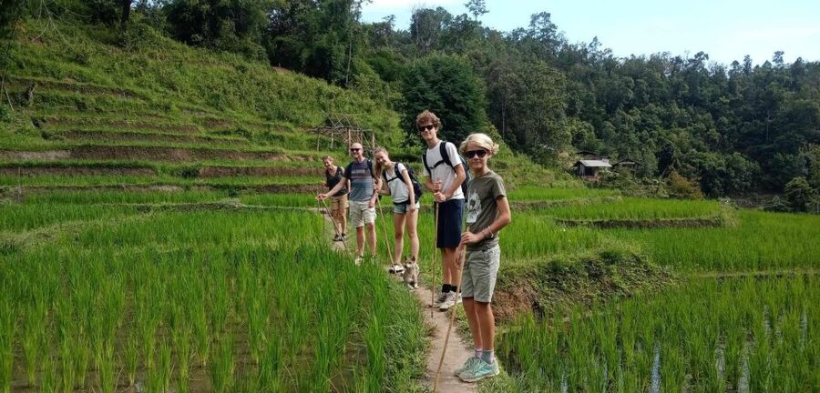 Chiang Mai: Elephant Sanctuary & Jungle Trek w/ Waterfall - Price and value: why $61 can feel like a full day’s worth
