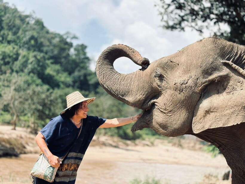 Chiang Mai: Elephant Sanctuary, Long Neck & Sticky Waterfall - Key highlights at a glance