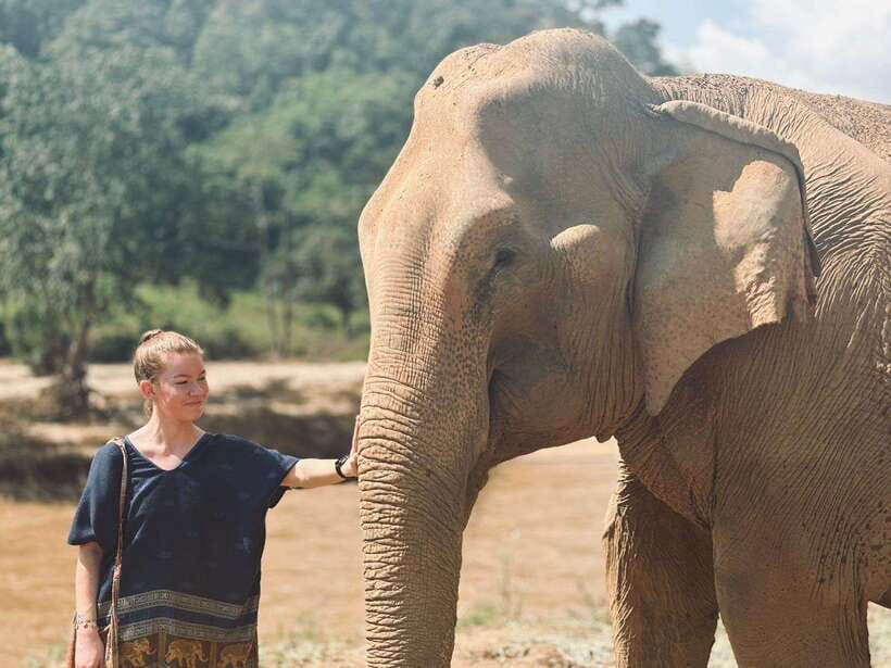 Chiang Mai: Elephant Sanctuary, Long Neck & Sticky Waterfall - River bathing with elephants: fun, refreshing, and a bit messy