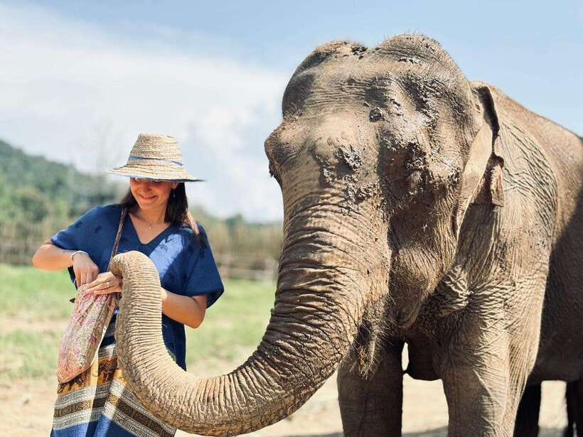 Chiang Mai: Elephant Sanctuary, Long Neck & Sticky Waterfall - Buatong Sticky Waterfall climb: the limestone steps that live up to the name