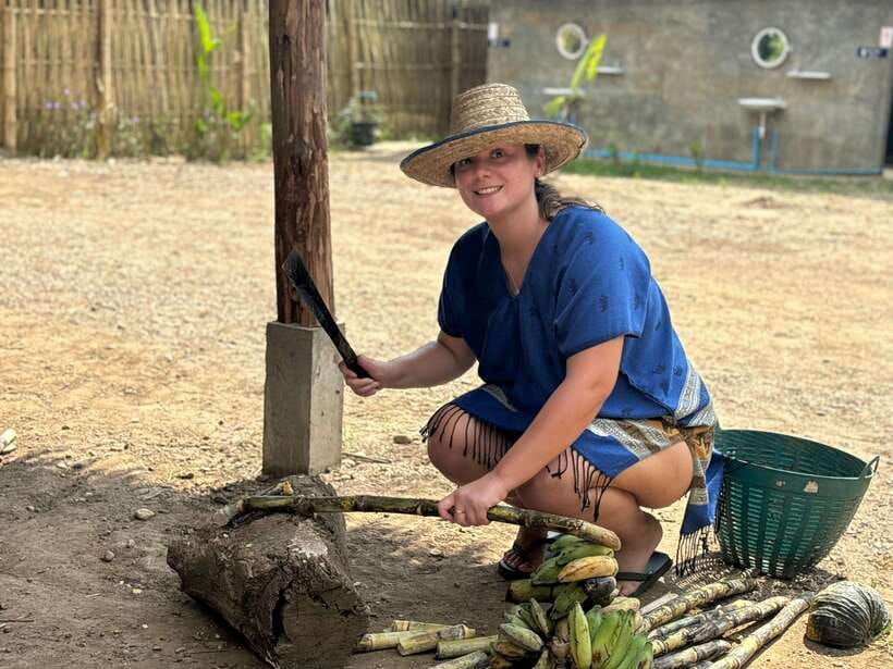Chiang Mai: Elephant Sanctuary, Long Neck & Sticky Waterfall - Thai lunch and snacks: fuel that actually matters