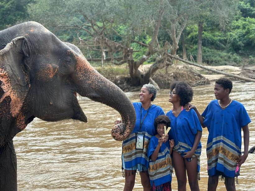 Chiang Mai: Elephant Sanctuary, Long Neck & Sticky Waterfall - Ethical elephant contact: how to judge this with your own standards
