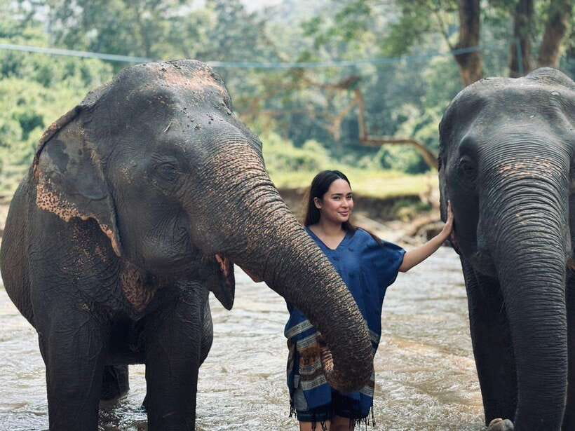 Chiang Mai: Elephant Sanctuary, Long Neck & Sticky Waterfall - Elephant sanctuary caretaker time: treats, feeding, and forest time