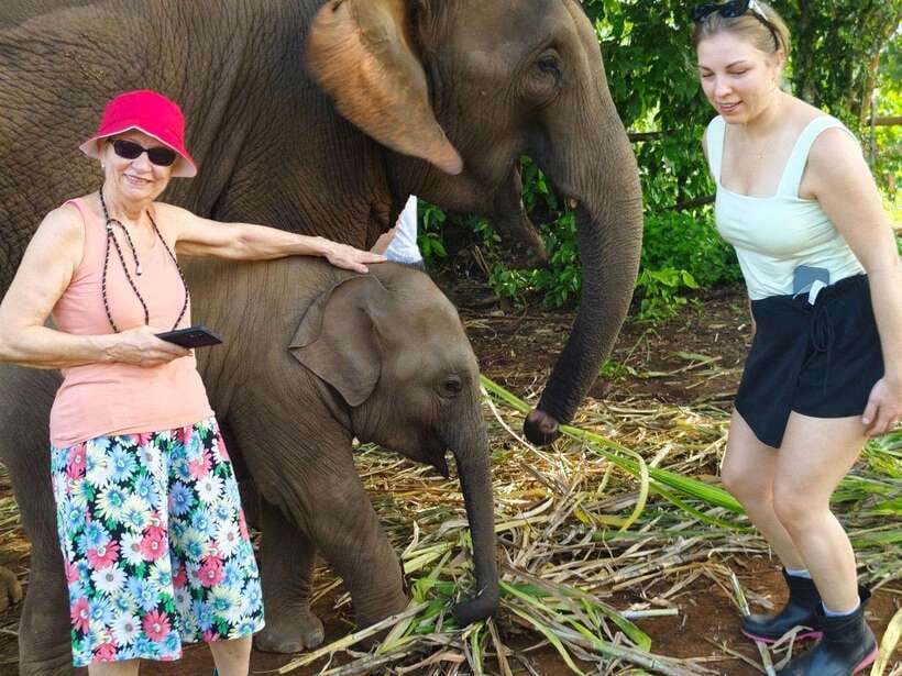 Chiang Mai: Elephant Sanctuary, Monk Trail & Doi Suthep Tour - Key things I’d pencil into your plan