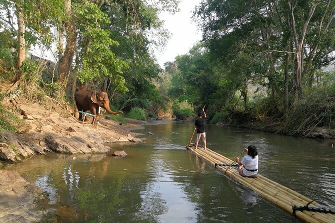 Chiang Mai Elephant Sanctuary Observation and Bamboo Rafting - Who should book this Chiang Mai elephant and bamboo rafting tour