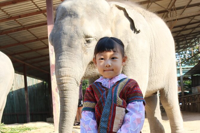 Chiang Mai Elephant Sanctuary Small Group Ethical Tour - Your Sanctuary Day at Mae Taeng: What the Setting Really Feels Like