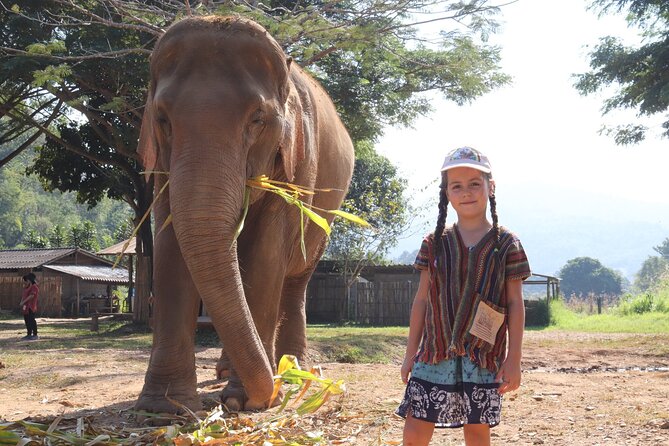 Chiang Mai Elephant Sanctuary Small Group Ethical Tour - Elephant Feeding and Photos: Included Treats, Gentle Interaction