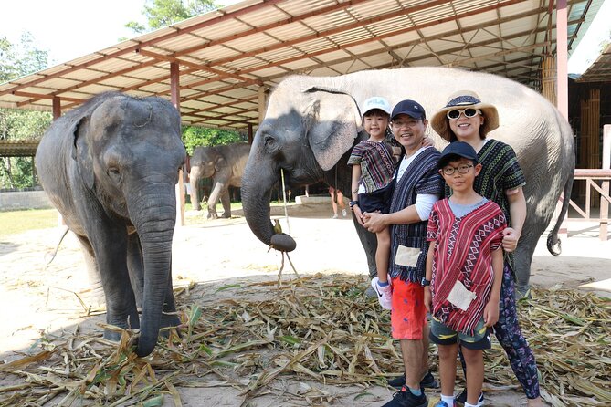 Chiang Mai Elephant Sanctuary Small Group Ethical Tour - What’s Included in the $90 Price (and Why It Adds Up)