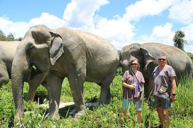 Chiang Mai Elephant Sanctuary Small Group Ethical Tour - Small-Group Flow: Max 20, Fewer Hassles
