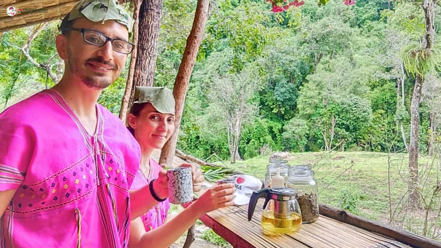 Chiang Mai: Elephant Sanctuary & Suthep Temple Sunrise View - Karen clothing, elephant learning, and forest details at Mae Wang