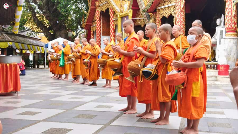 Chiang Mai: Elephant Sanctuary & Suthep Temple Sunrise View - Price and value: what $78 buys you in real terms