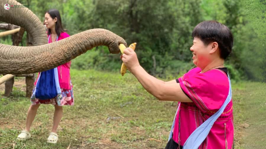 Chiang Mai: Elephant Sanctuary & Suthep Temple Sunrise View - What to bring (and what not to wear) for comfort and respect