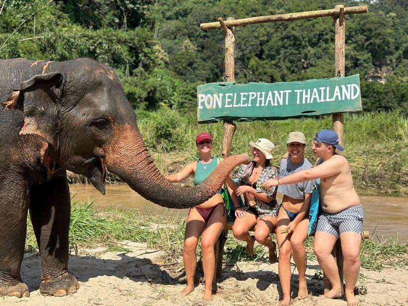 Chiang Mai: Elephant Sanctuary, Waterfall & Bamboo Rafting - Why this Chiang Mai day works: elephants, waterfalls, and Mae Wang rafting
