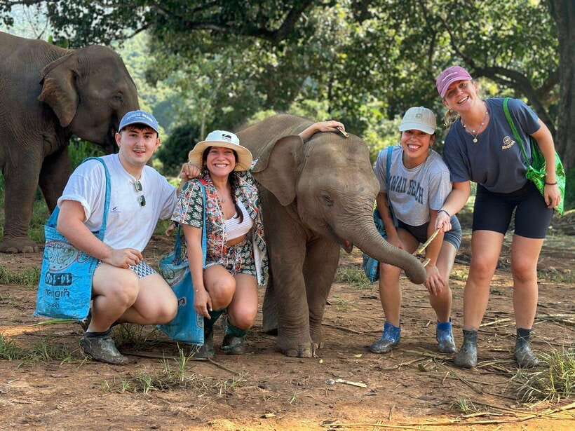 Chiang Mai: Elephant Sanctuary, Waterfall & Bamboo Rafting - Mae Wang Waterfalls: your first cool-off before the jungle elephants