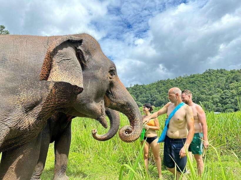 Chiang Mai: Elephant Sanctuary, Waterfall & Bamboo Rafting - Pon Elephant Thailand sanctuary: ethical elephant time in the jungle