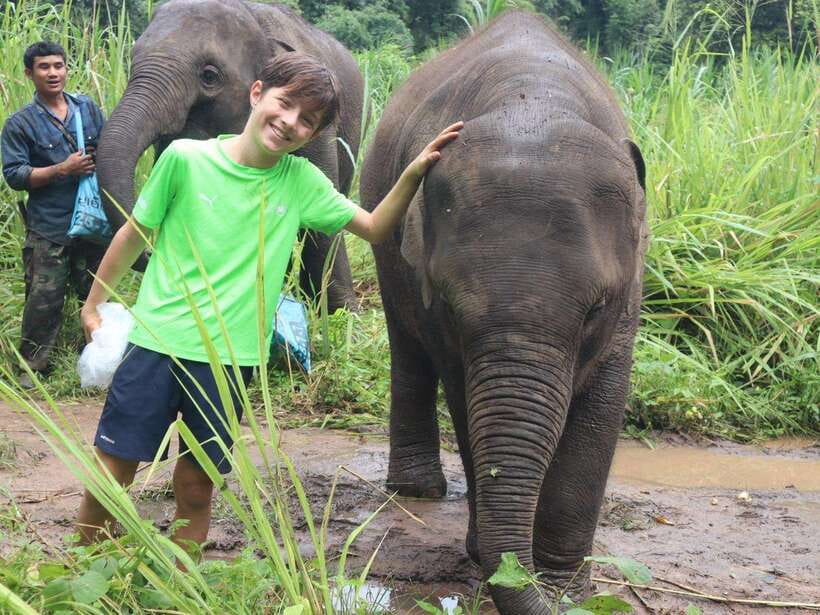 Chiang Mai: Elephant Sanctuary, Waterfall & Bamboo Rafting - River bathing with elephants: the highlight that needs the right attitude