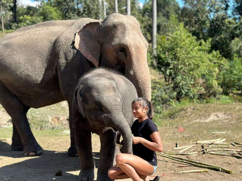 Chiang Mai: Elephant Sanctuary, Waterfall & Bamboo Rafting - Bamboo rafting on the Mae Wang River: fun, light rapids, and real relaxation