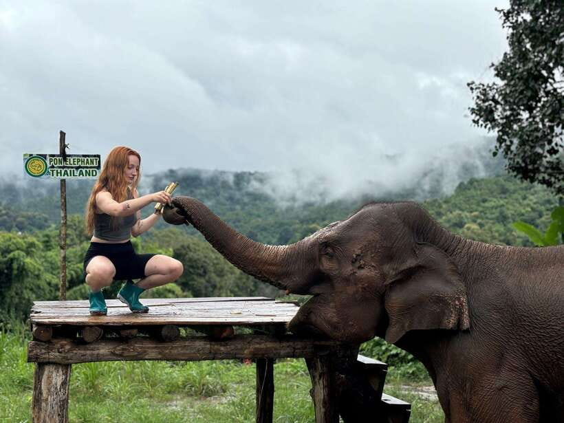 Chiang Mai: Elephant Sanctuary, Waterfall & Bamboo Rafting - What to bring (so the day doesn’t annoy you)