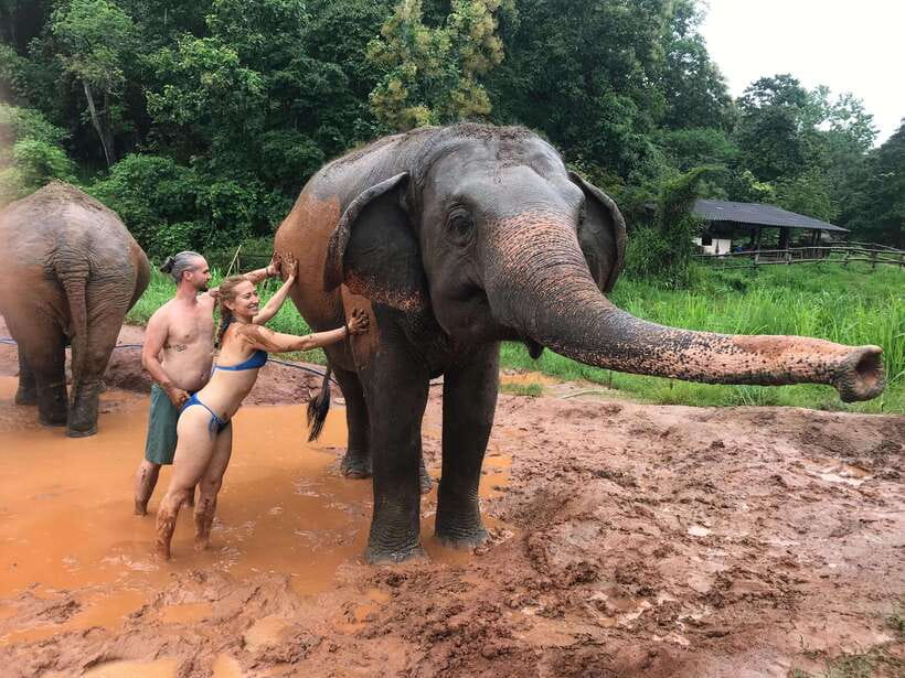 Chiang Mai: Elephant Sanctuary & Waterfall Group Tour - Who this tour is best for (and who should skip it)