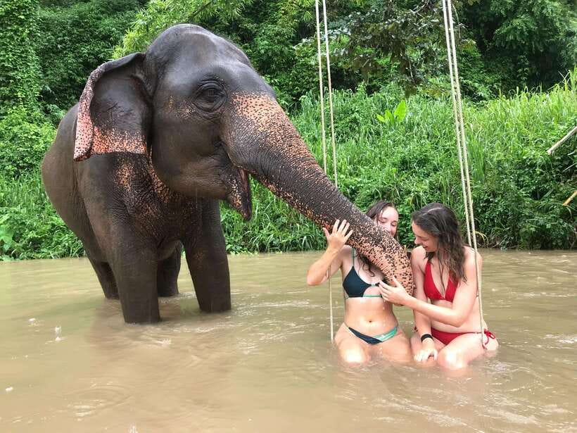 Chiang Mai: Elephant Sanctuary & Waterfall Group Tour - A 7-hour day of elephants and Mae Wang Waterfall