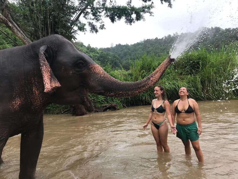 Chiang Mai: Elephant Sanctuary & Waterfall Group Tour - Your lunch break: Thai food after the sweat
