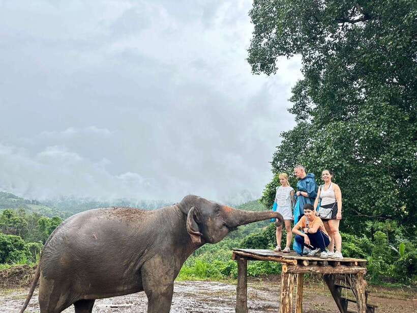 Chiang Mai: Elephant Sanctuary & Waterfall Group Tour - Price and value: is $50 actually a good deal?