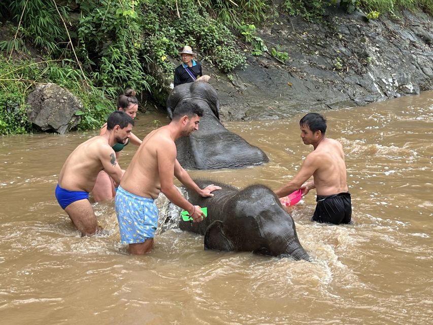 Chiang Mai: Elephant Sanctuary & Waterfall Group Tour - What’s included vs. what you’ll need to bring