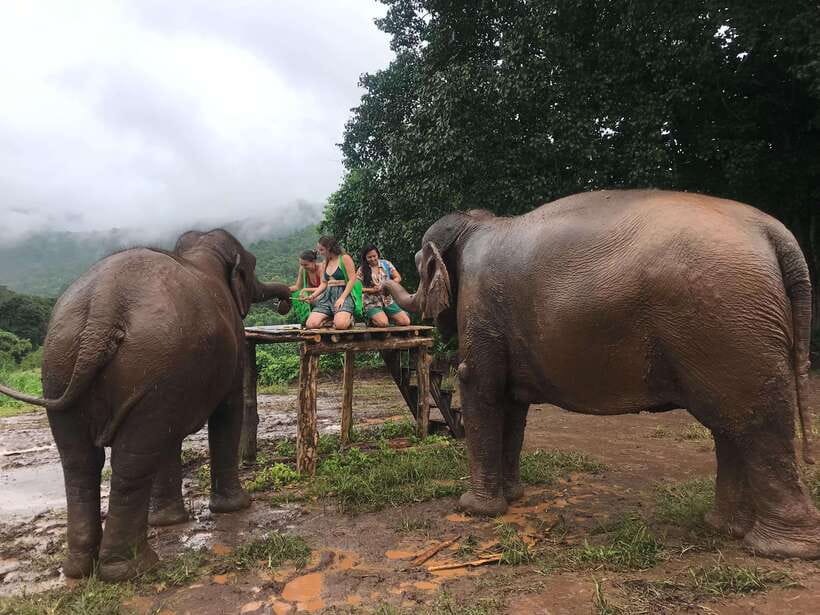 Chiang Mai: Elephant Sanctuary & Waterfall Group Tour - Group tour reality: pace, comfort, and small friction points