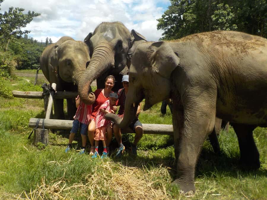 Chiang Mai Elephant Village Life: Long Neck & Bamboo Rafting - A few practical tips that make the whole day better