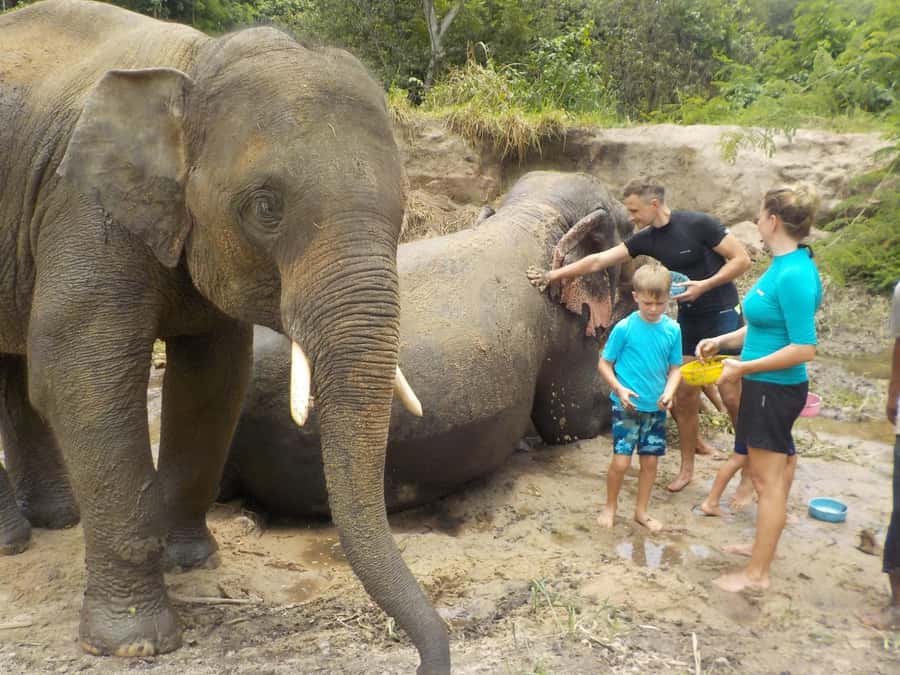 Chiang Mai Elephant Village Life: Long Neck & Bamboo Rafting - Karen Hill Village visit: culture stop, and the long-neck reality check