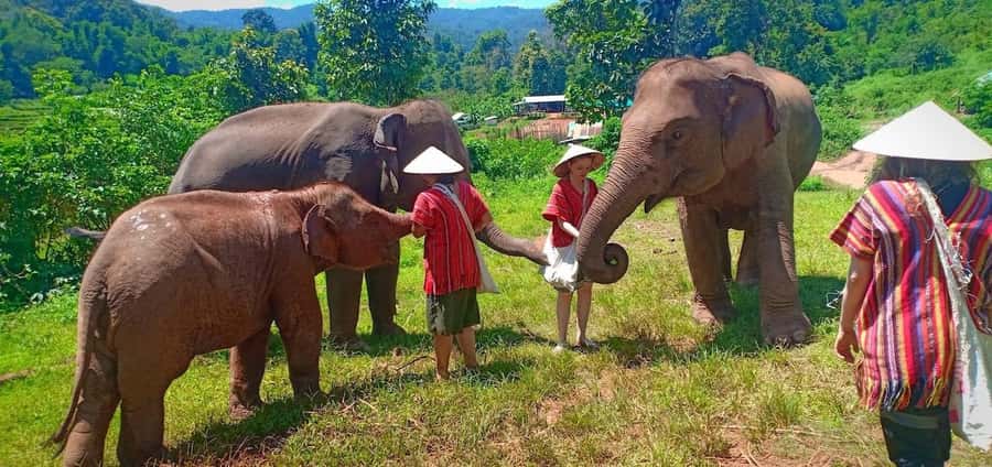 Chiang Mai Elephant Village Life: Long Neck & Bamboo Rafting - What to bring (and what to skip) so the day stays comfortable
