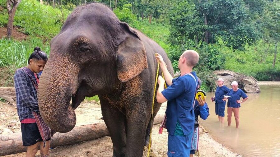 Chiang Mai Elephant Village Life: Long Neck & Bamboo Rafting - Who this tour suits best (and who should think twice)