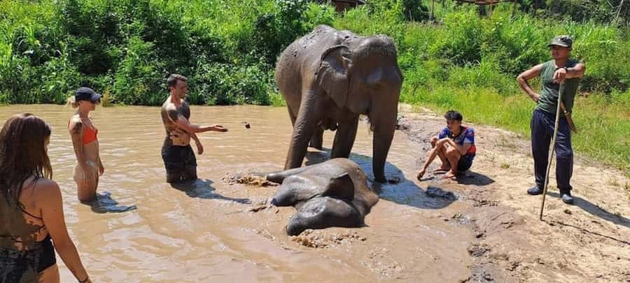 Chiang Mai Elephant Village Life: Long Neck & Bamboo Rafting - Elephant caretaking the ethical way: feeding, walking, and bathing