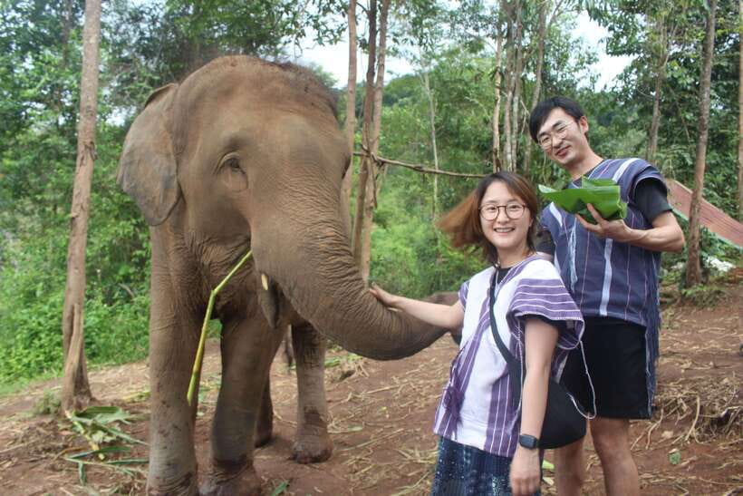 CHIANG MAI ELEPHANT VILLAGE SANCTUARY JUNGLE ADVENTURE - Why this jungle-and-village day feels different from typical elephant stops