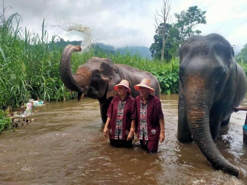 Chiang Mai: Elephants, Sticky Waterfalls, Market and Temple - Chiang Mai market, sticky falls, Wat Ban Den, and elephants: how the day really flows