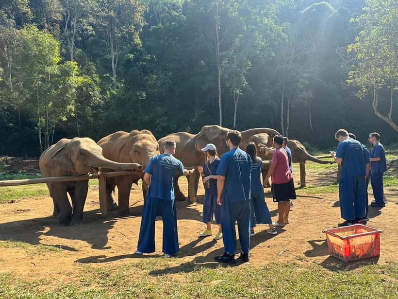Chiang Mai: Elephants, Waterfall, and White Water Rafting - A Full Day Plan That Actually Feels Balanced