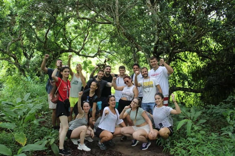 Chiang Mai: Elephants, Waterfall, and White Water Rafting - Trek to the Waterfall: A 20 m Drop and a Real Chance to Swim