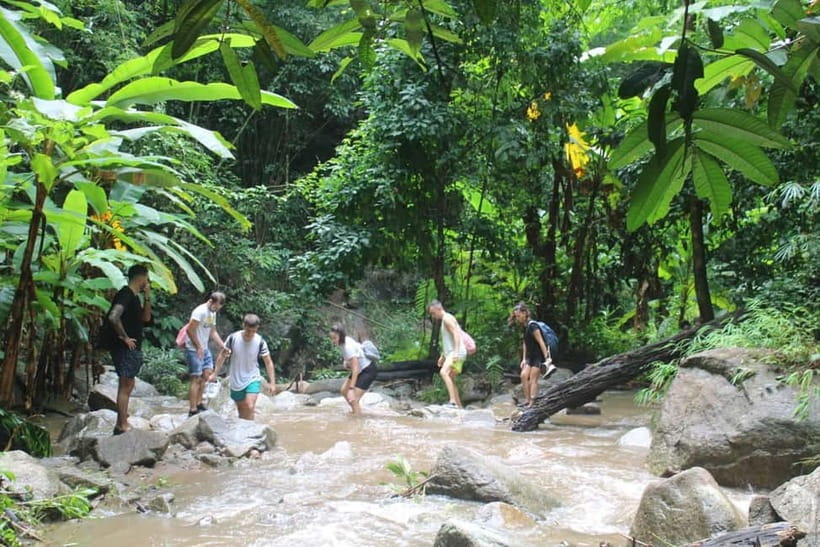 Chiang Mai: Elephants, Waterfall, and White Water Rafting - White Water Rafting on the Mae Taeng River: Thrill With a Safety Spine