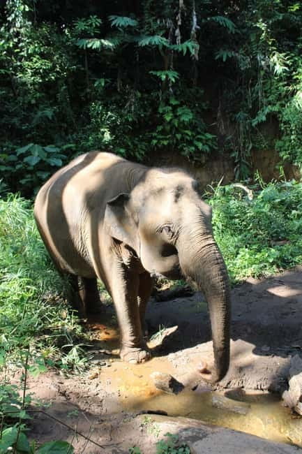 Chiang Mai: Elephants, Waterfall, and White Water Rafting - What to Pack (So You Don’t Regret It Later)