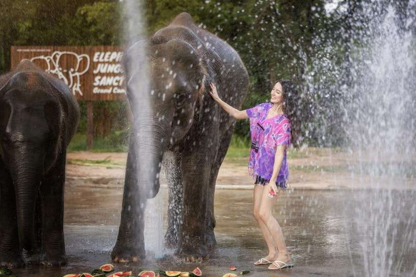 Chiang Mai: Ethical Elephant Feeding & Shower Program - Chiang Mai Feed and Shower: what makes it different