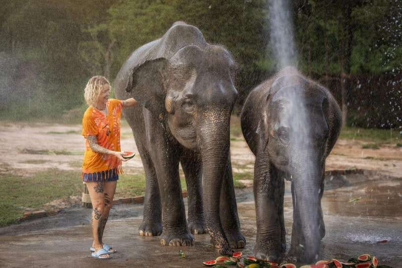 Chiang Mai: Ethical Elephant Feeding & Shower Program - Entering the sanctuary: briefing, safety, and how the visit flows