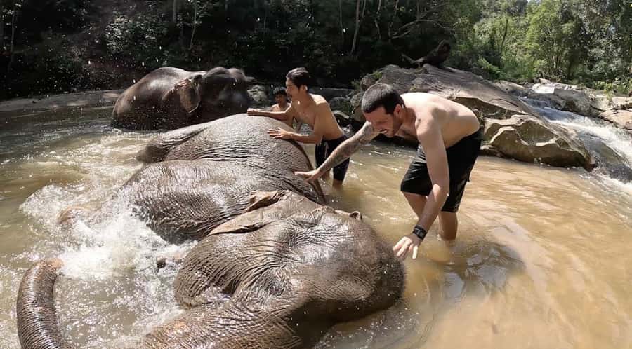 Chiang Mai : Ethical Elephant Sanctuary and ATV Adventure - Key things to know before you go