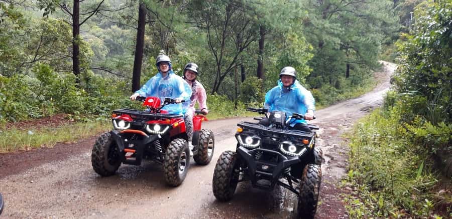 Chiang Mai : Ethical Elephant Sanctuary and ATV Adventure - Group size reality: why your elephant time can feel different
