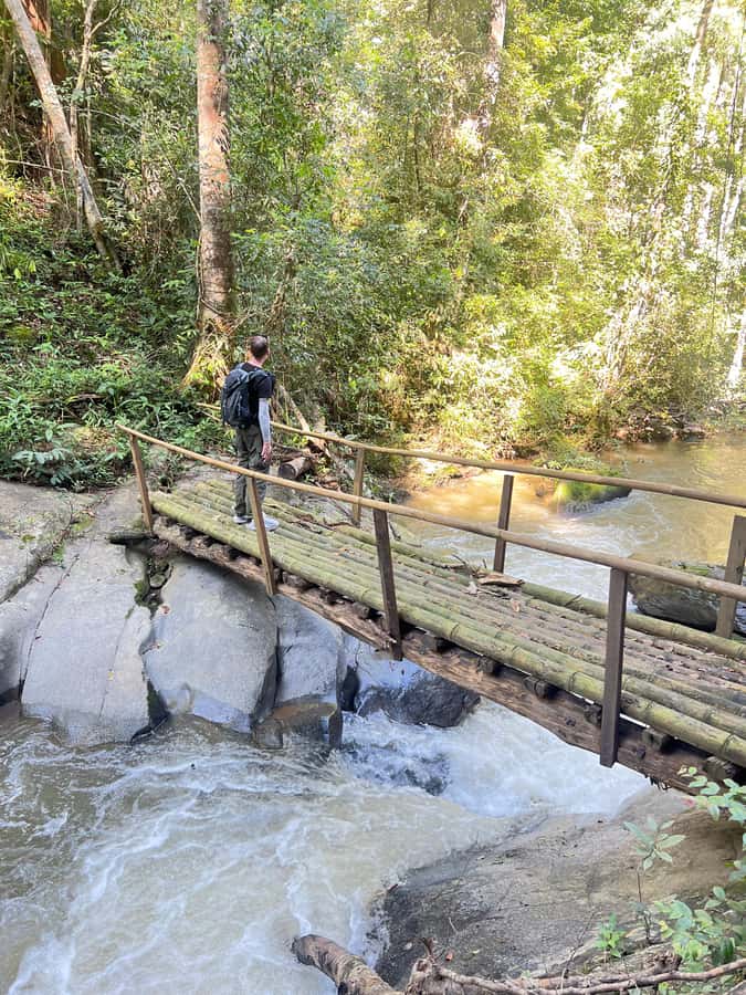 Chiang Mai : Ethical Elephant Sanctuary and ATV Adventure - Lunch at the right time: Pad Thai energy and a real break