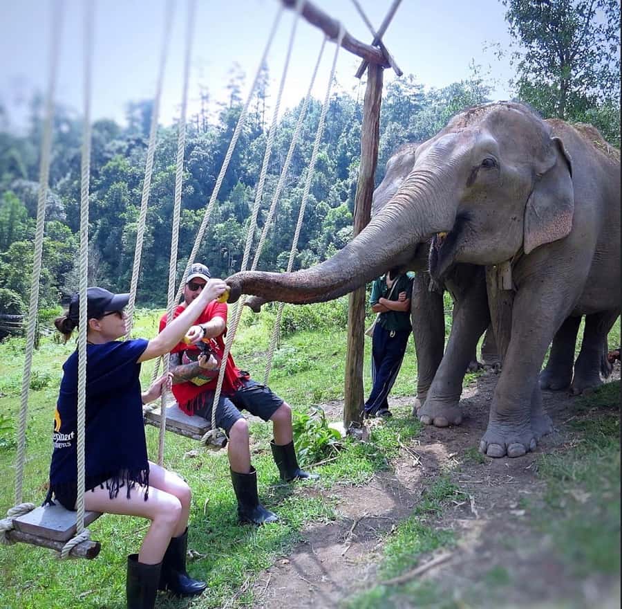 Chiang Mai : Ethical Elephant Sanctuary and ATV Adventure - Inthanon Paradise ATV adventure: trails, hills, and a waterfall stop
