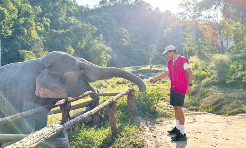 Chiang Mai: Ethical Half Day Elephant Sanctuary & Waterfall - Waterfall time, herbal tea, and the right kind of cooling off