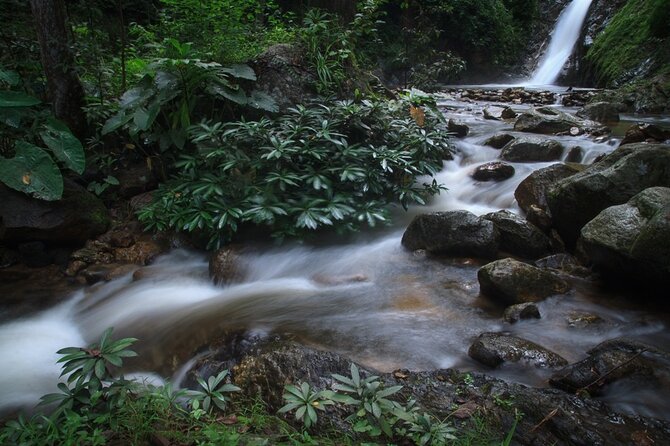 Chiang Mai Exotic Excursion Unseen Miracle of Faith To Pupadang Lampang Temple - Timing and Transfers: What a 7:30 am Start Really Means