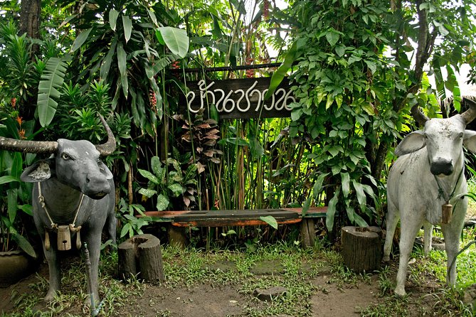 Chiang Mai Farm Life & Khao Soy Tasting on a Half-Day Boat Tour - Timing and how 2.5 hours plays out